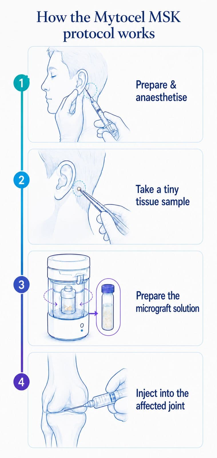 How the Mytocel MSK protocol works, in four steps